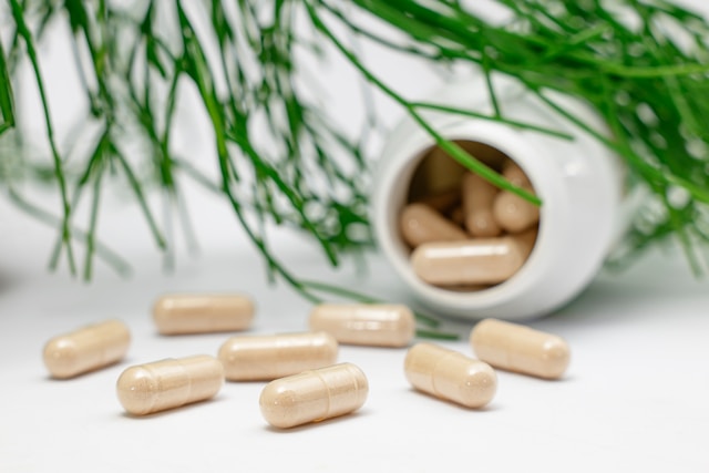The Therapeutic Potential of Coenzyme Supplements for Kidney and Heart Conditions