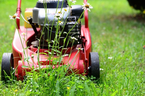 The Importance of Regular Commercial Lawn Maintenance